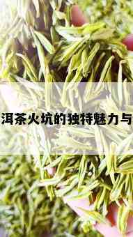 普洱茶火坑的独特魅力与品质