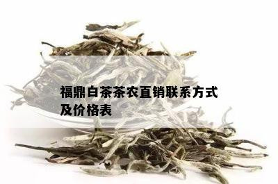 福鼎白茶茶农直销联系方式及价格表