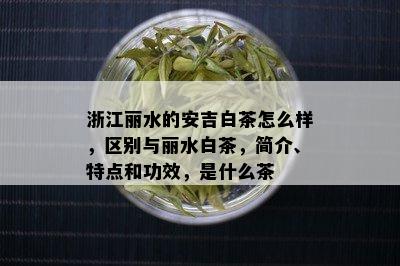 浙江丽水的安吉白茶怎么样，区别与丽水白茶，简介、特点和功效，是什么茶