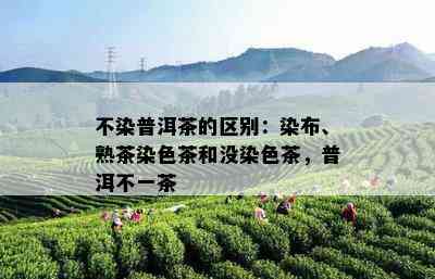 不染普洱茶的区别：染布、熟茶染色茶和没染色茶，普洱不一茶