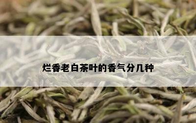 烂香老白茶叶的香气分几种