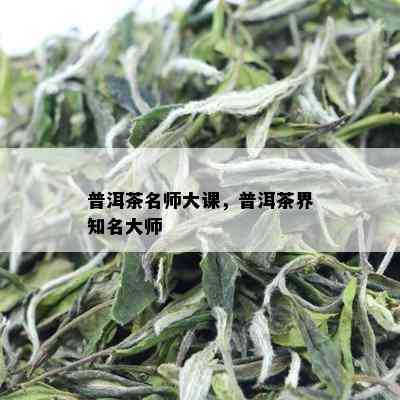 普洱茶名师大课，普洱茶界知名大师