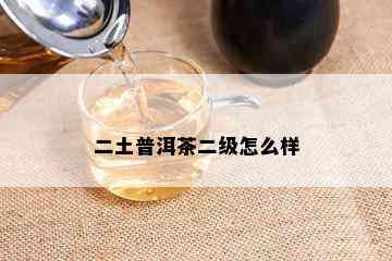 二土普洱茶二级怎么样