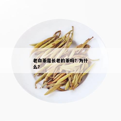 老白茶是长老的茶吗？为什么？