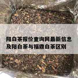 阳白茶报价查询网最新信息及阳白茶与福鼎白茶区别