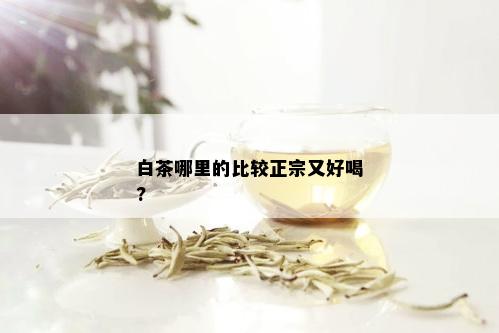 白茶哪里的比较正宗又好喝?