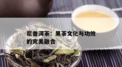 尼普洱茶：黑茶文化与功效的完美融合