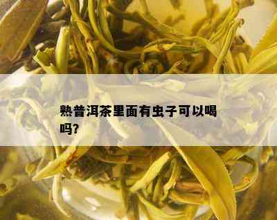 熟普洱茶里面有虫子可以喝吗？