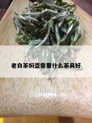 老白茶焖壶需要什么茶具好