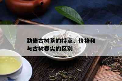 勐傣古树茶的特点、价格和与古树春尖的区别