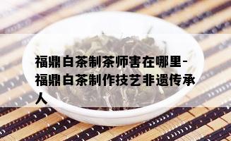 福鼎白茶制茶师害在哪里-福鼎白茶制作技艺非遗传承人