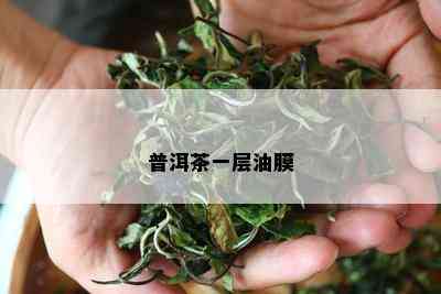 普洱茶一层油膜