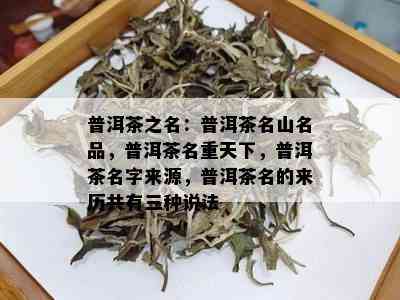 普洱茶之名：普洱茶名山名品，普洱茶名重天下，普洱茶名字来源，普洱茶名的来历共有三种说法