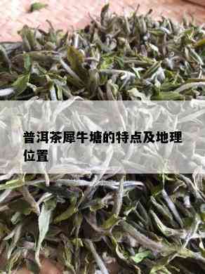 普洱茶犀牛塘的特点及地理位置