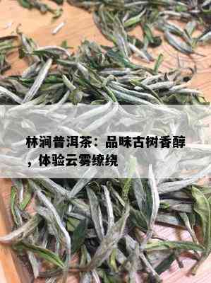 林涧普洱茶：品味古树香醇，体验云雾缭绕