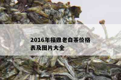 2016年福鼎老白茶价格表及图片大全