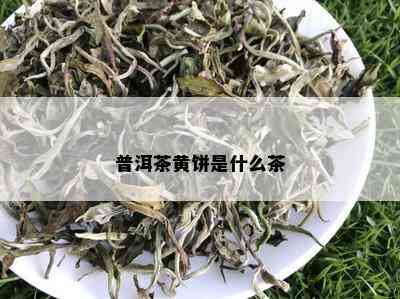 普洱茶黄饼是什么茶