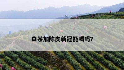 白茶加陈皮新冠能喝吗？