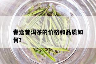 春逸普洱茶的价格和品质如何？