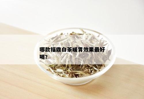 哪款福鼎白茶暖胃效果更好喝？