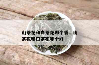 山茶花和白茶花哪个香，山茶花和白茶花哪个好