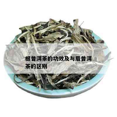 根普洱茶的功效及与眉普洱茶的区别