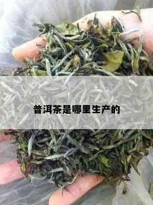 普洱茶是哪里生产的