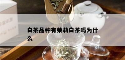 白茶品种有茉莉白茶吗为什么