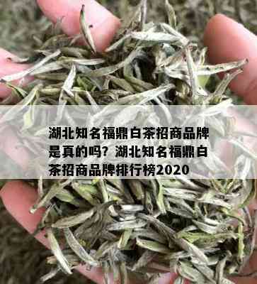 湖北知名福鼎白茶招商品牌是真的吗？湖北知名福鼎白茶招商品牌排行榜2020