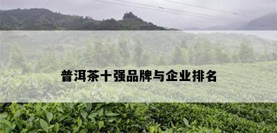 普洱茶十强品牌与企业排名