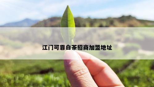 江门可靠白茶招商加盟地址