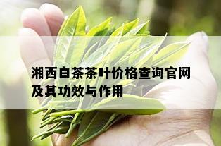 湘西白茶茶叶价格查询官网及其功效与作用