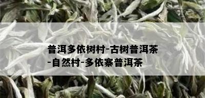 普洱多依树村-古树普洱茶-自然村-多依寨普洱茶