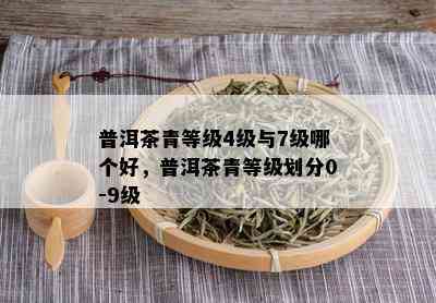 普洱茶青等级4级与7级哪个好，普洱茶青等级划分0-9级