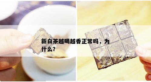 新白茶越喝越香正常吗，为什么？