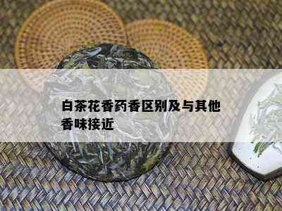 白茶花香香区别及与其他香味接近