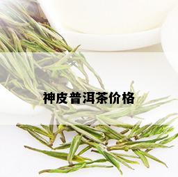 神皮普洱茶价格