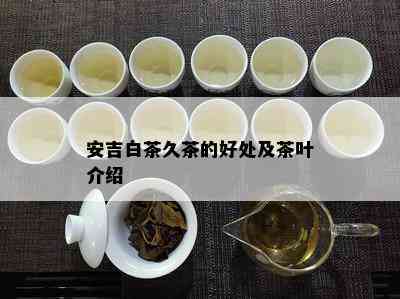 安吉白茶久茶的好处及茶叶介绍