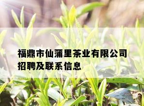 福鼎市仙蒲里茶业有限公司招聘及联系信息