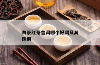 白茶红茶普洱哪个好喝及其区别