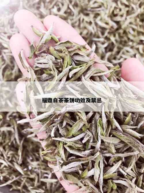 福鼎白茶茶饼功效及禁忌