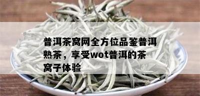 普洱茶窝网全方位品鉴普洱熟茶，享受wot普洱的茶窝子体验