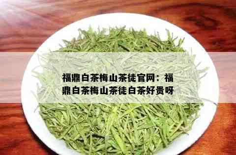 福鼎白茶梅山茶徒官网：福鼎白茶梅山茶徒白茶好贵呀