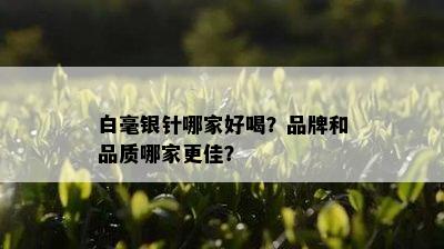 白毫银针哪家好喝？品牌和品质哪家更佳？