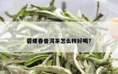 碧螺春普洱茶怎么样好喝?