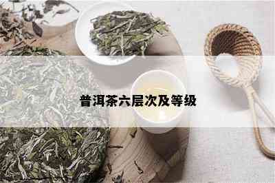 普洱茶六层次及等级