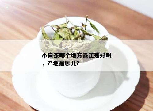 小白茶哪个地方最正宗好喝，产地是哪儿？