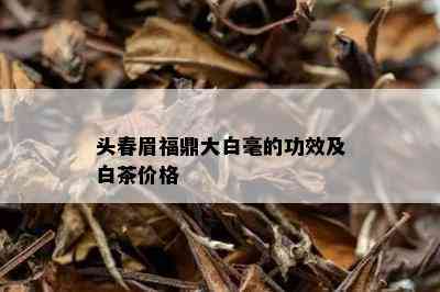 头春眉福鼎大白毫的功效及白茶价格