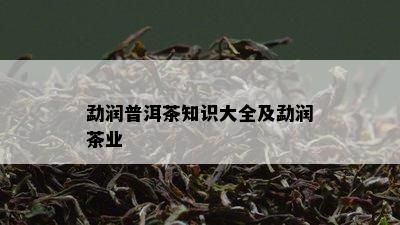 勐润普洱茶知识大全及勐润茶业