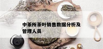 中茶所茶叶销售数据分析及管理人员